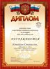 2014-2015 Копейкин Станислав 11л (РО-география)